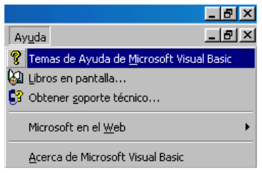 Visual Basic